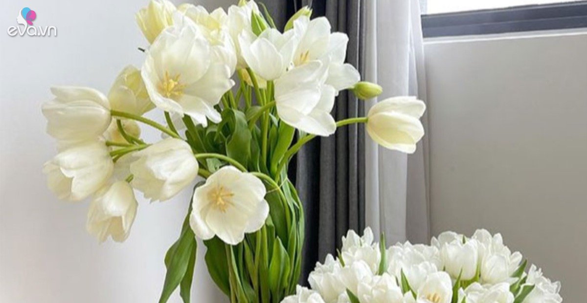 Read more about the article 5 loại hoa tuy đẹp nhưng không may mắn, để trong nhà khác gì mời gọi vận xui