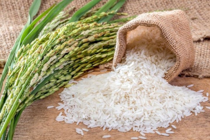 Đặt thùng gạo nhớ nguyên tắc “2 kín – 1 đầy” giúp tụ lộc gấp trăm, cả năm no đủ - 1
