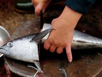 Phần cá cực giàu dinh dưỡng nhưng cứ 10 người Việt thì 9 người vứt ngay tại chợ, bỏ phí bao tinh túy