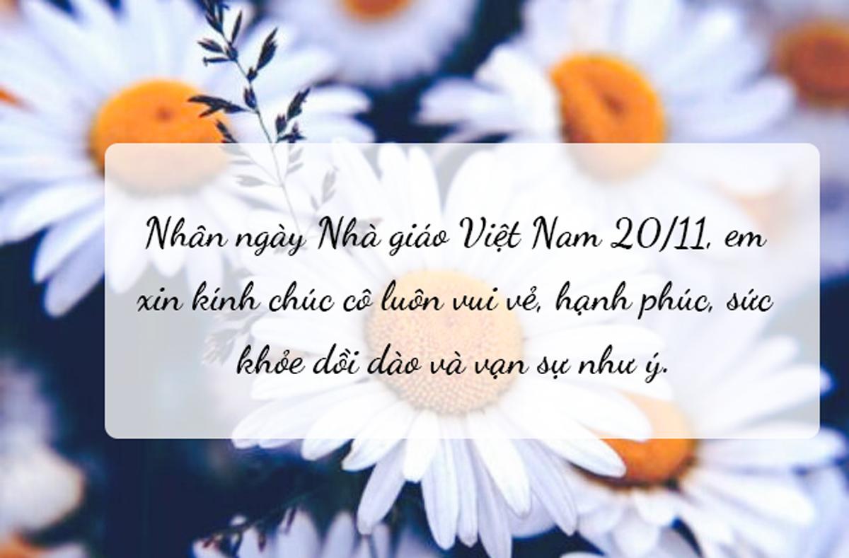 Lời chúc 20/11 cho cô giáo hay, ngắn gọn và ý nghĩa nhất