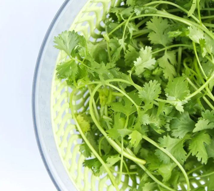 Rau mùi mua về cực nhanh hỏng, đem trộn với thứ này rồi bảo quản để nửa ...