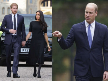 Meghan nói bản thân bị quẳng cho sói ăn thịt, Harry khẳng định Hoàng gia nói dối bảo vệ William