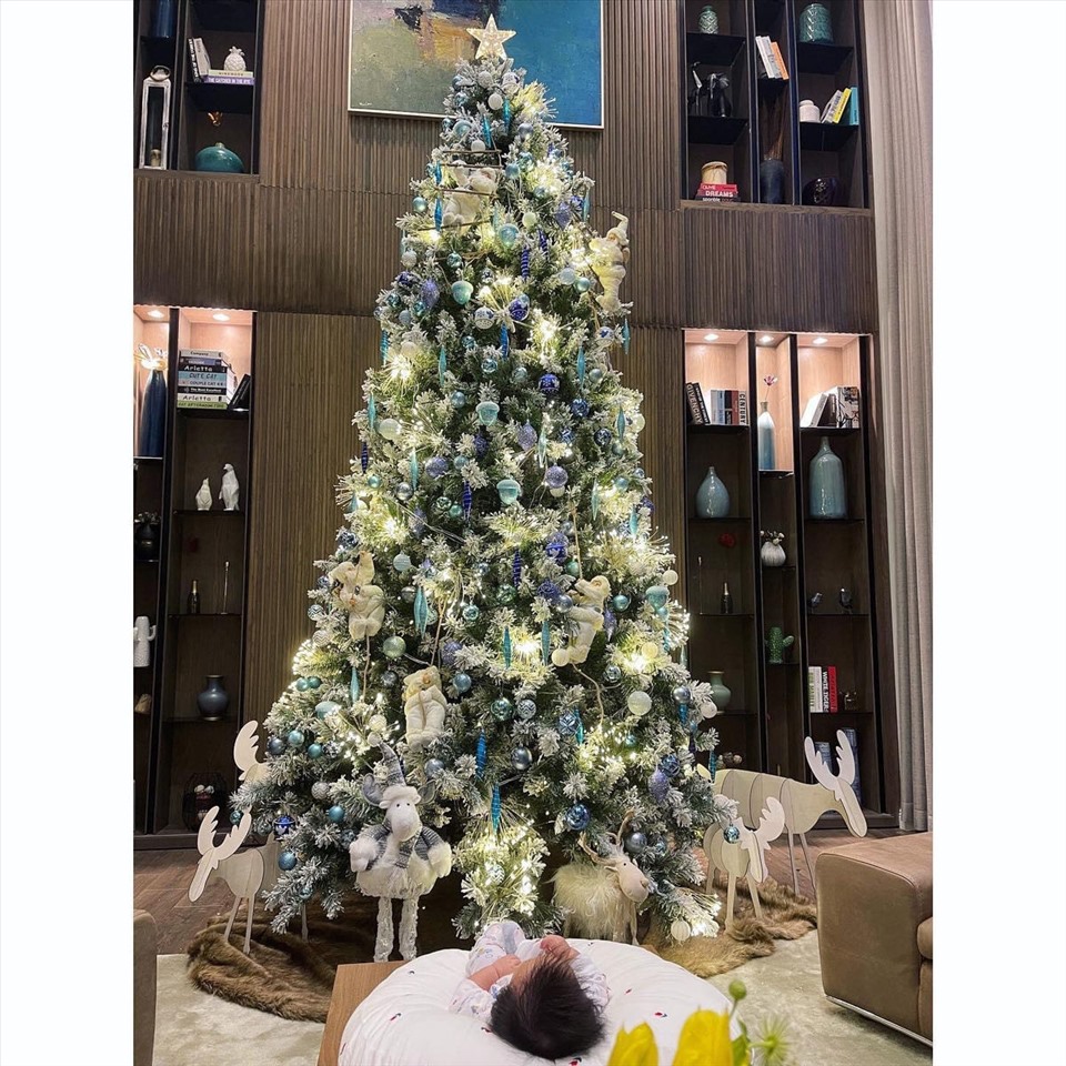 Không phải cây thông Noel, điểm thú vị trong mỗi bức hình Giáng sinh nhà Cường Đô La khiến khán giả thích thú - 12