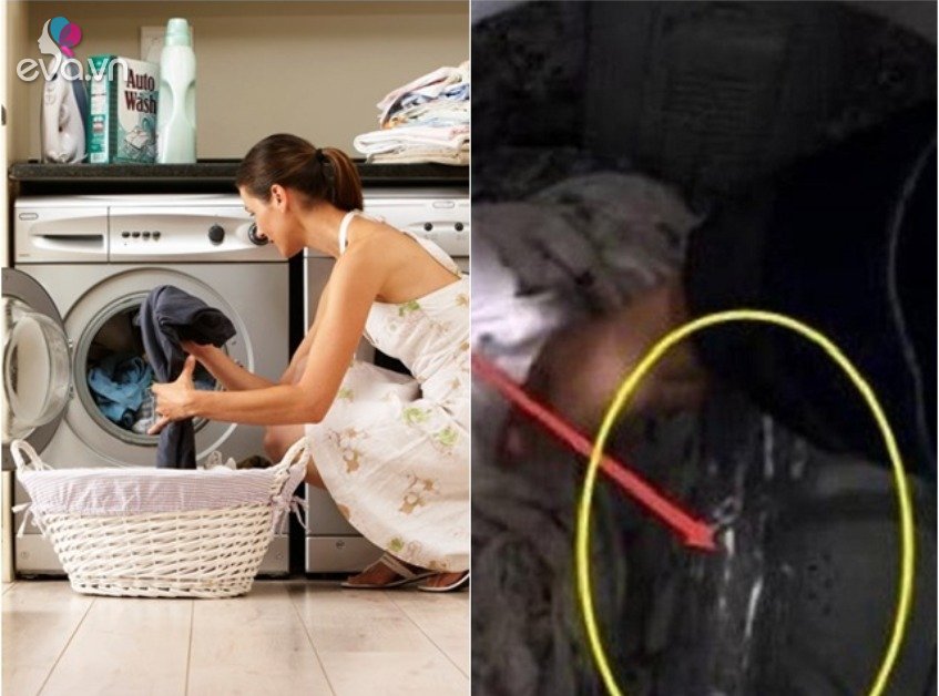 Read more about the article Tưởng vợ “não cá vàng” vứt nhầm vỏ chai nước vào máy giặt, lúc phơi đồ tôi kinh ngạc khi thấy điều này