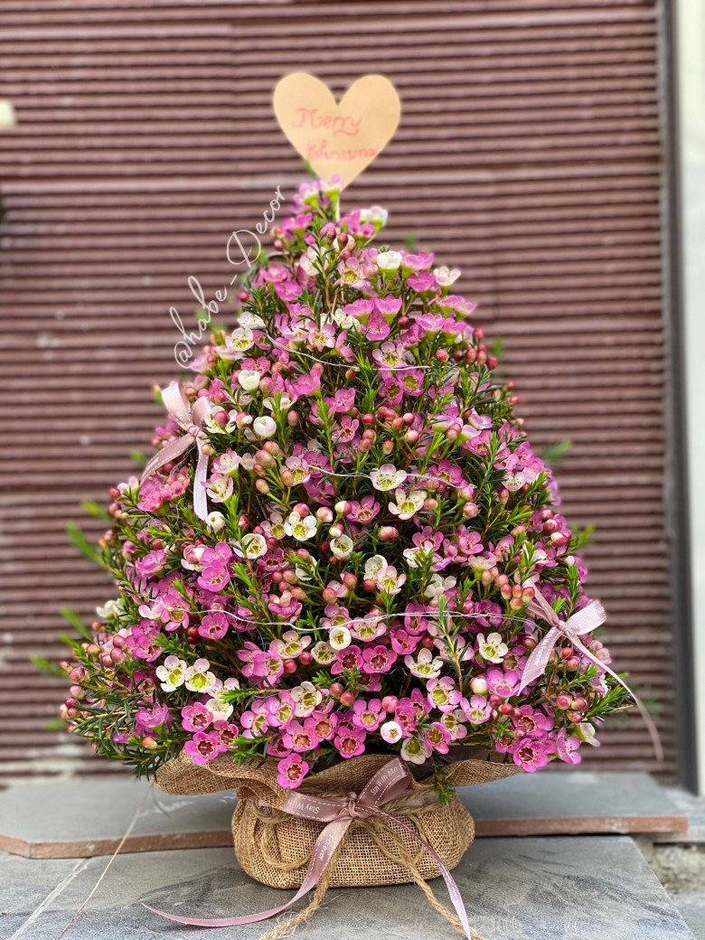 Độc lạ 9X Hải Phòng amp;#34;hô biếnamp;#34; cây thông nở hoa đủ màu, cắm hàng trăm bình hoa thông dịp Giáng Sinh - 5
