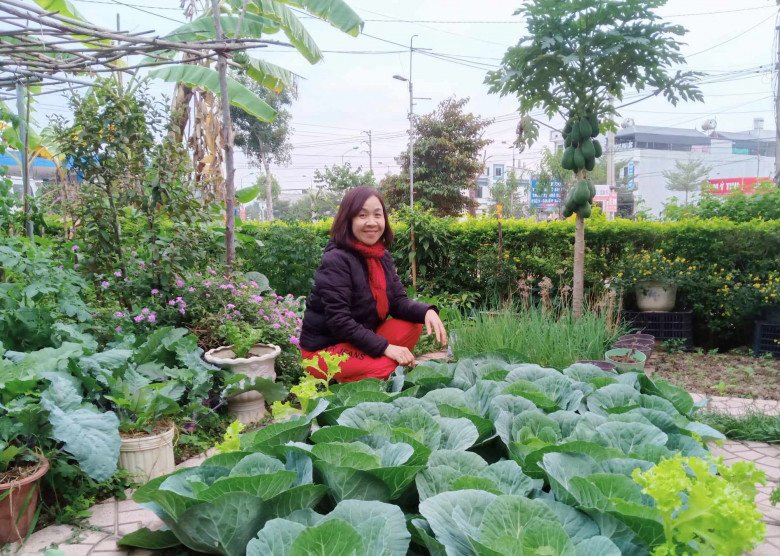Cȏ giáo Bắc Giang làm vườn cực mát tay, trṑng rau rau xanh mướt, trṑng hoa hoa khoe sắc - 1